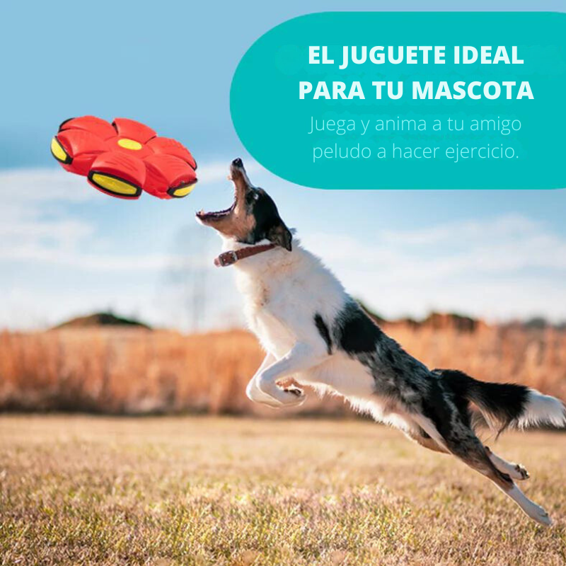 Flyball® - Pelota Voladora para Perros (COMPRA 1 LLEVA 2)