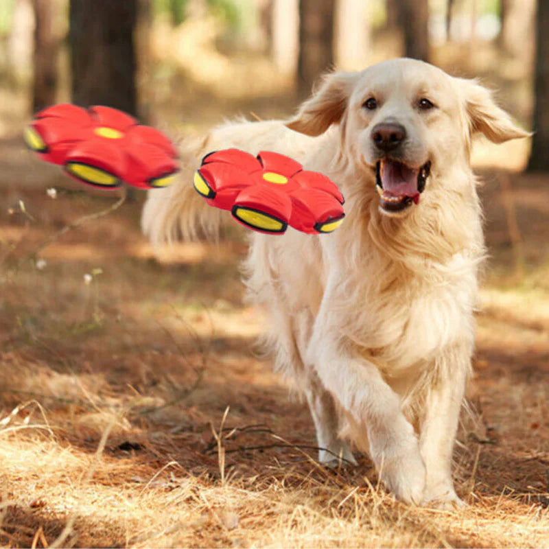 Flyball® - Pelota Voladora para Perros (COMPRA 1 LLEVA 2)